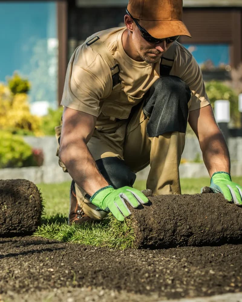 Local landscaping business